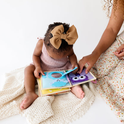 The Diaper Bag Companion VERSION 1
